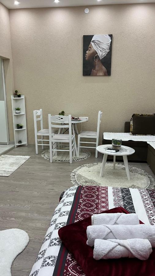 Apartment Downtown Подгорица Экстерьер фото